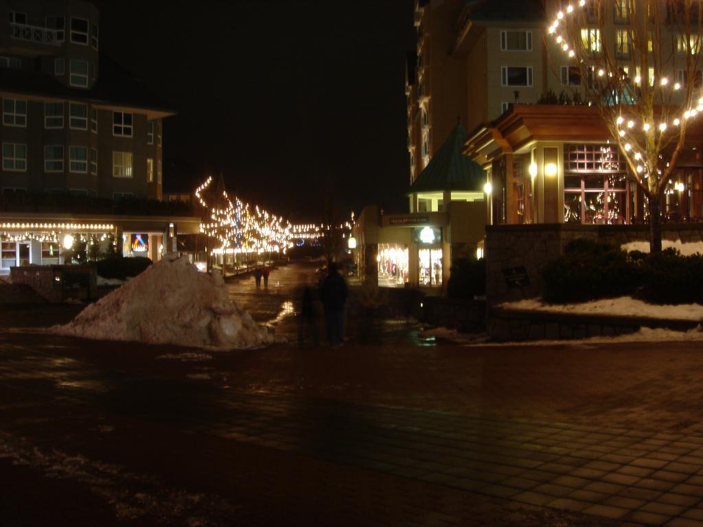 2004/12(Dec)/07(Whistler)/1024x768_2004-12-14 21-06-17.JPG